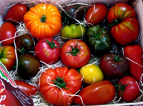 heirloomtomatoes