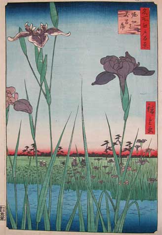 hiroshige-iris-garden-at-horikiri-4419
