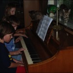 Piano playing with Lilly Kitty