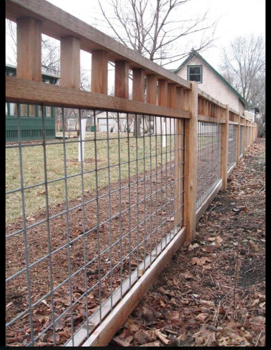 GARDEN-cattle panel courtyard fence idea